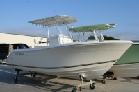 Cobia 217