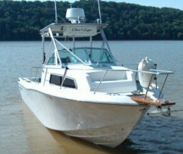 1990 Chris Craft 254 Seahawk