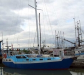 43 MK II
